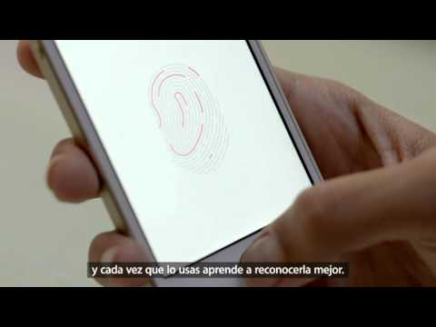 Imagen de previsualización de YouTube