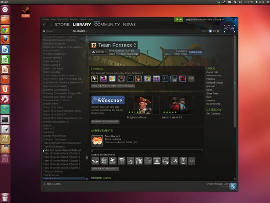 steam linux
