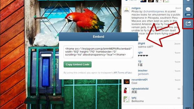 instagram embed