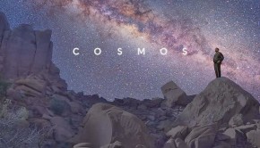 cosmos