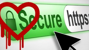 heartbleed openssl bug